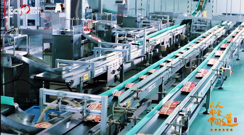 坚果行业首家入选新华社民族品牌工程，洽洽食品彰显行业影响力